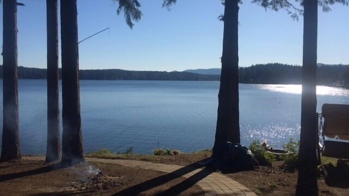Olympia Cottage | Private Beach on Puget Sound - Waterfront Cottage - 3 Bedrooms - Sleeps 6