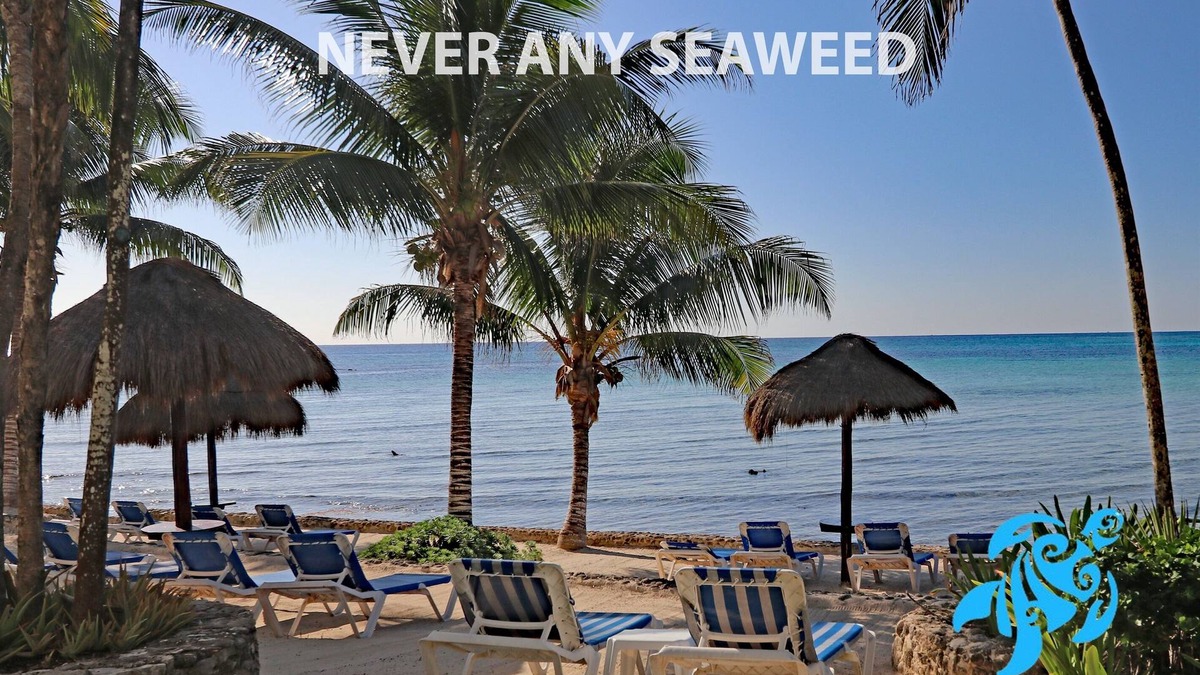 Akumal Condo | Private Beachfront 2/2, Views! Huge Pool! Gardens!