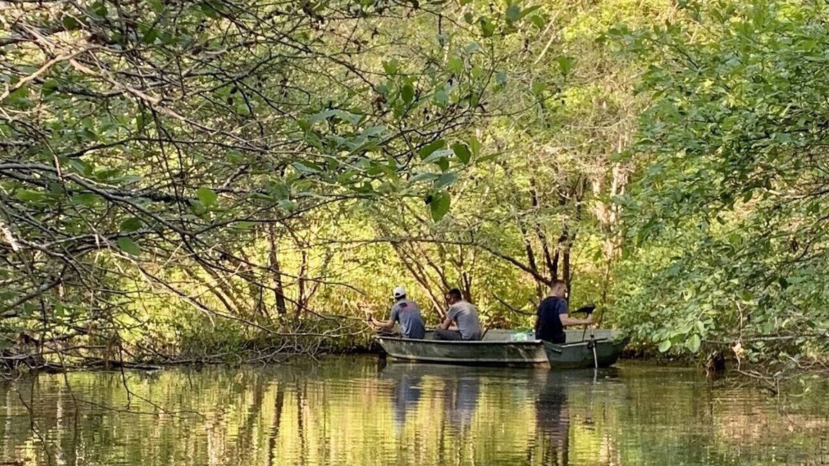 Munford House | Private beautiful 100 Acre Lake & Cabin. Mt. Cheaha.Dog Friendly.Internet