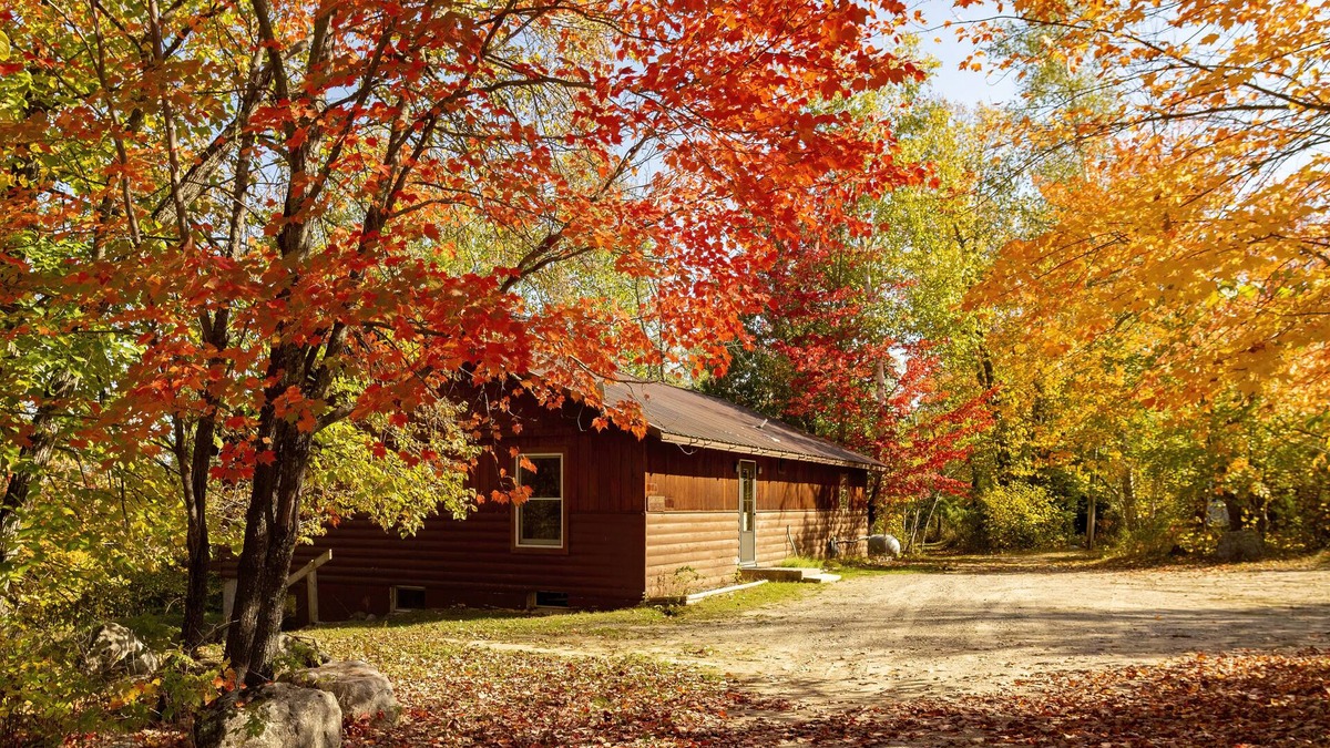 Cook Cabin | Private Cabin and Sauna on Lake Vermilion