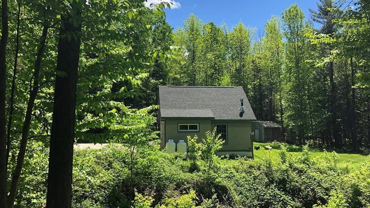 Mount Holly Cabin | Private Cabin/Pets OK/AC/Minutes to Okemo/Fast WiFi