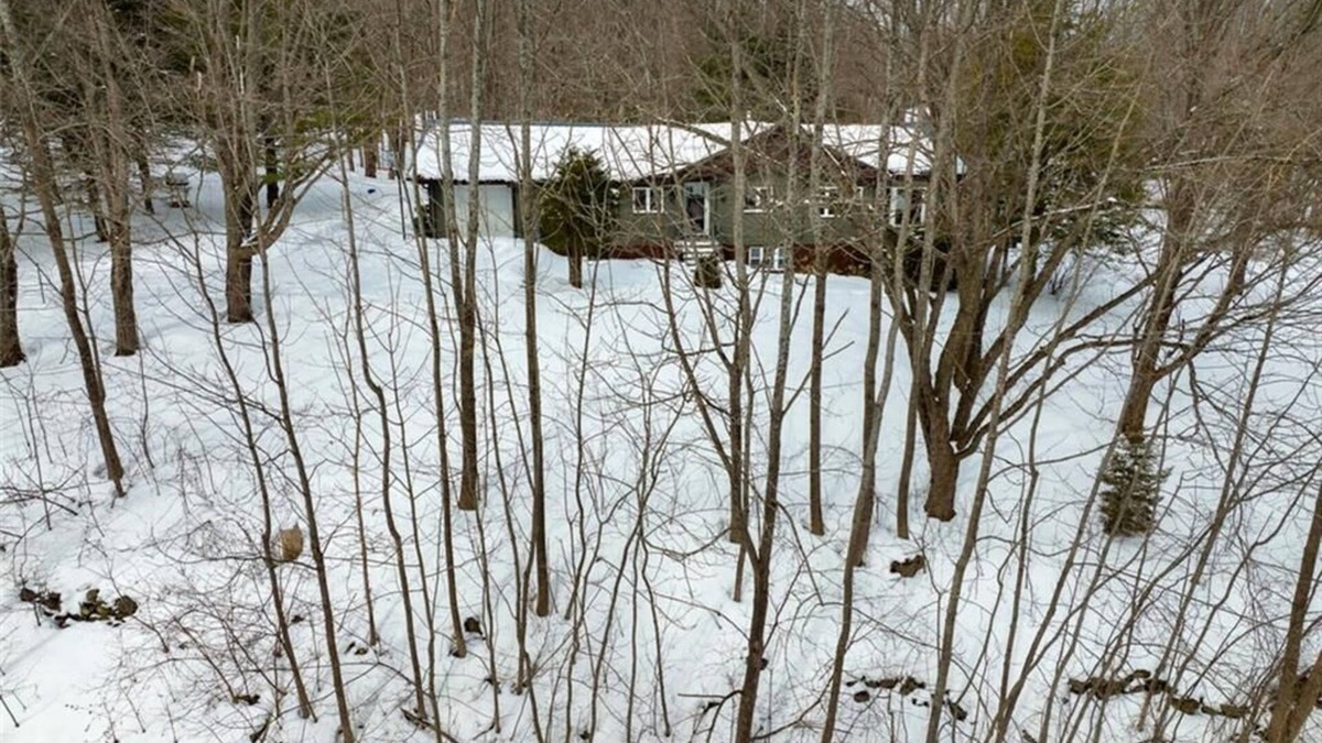 Grey Highlands Cabin | Private Cabin Retreat in Pretty River Valley |15 min to Blue Mountain