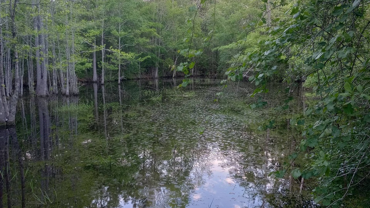 Graceville RV Rental | Private camping near Panama City and Panama City Beach. Includes a fire pit 🔥