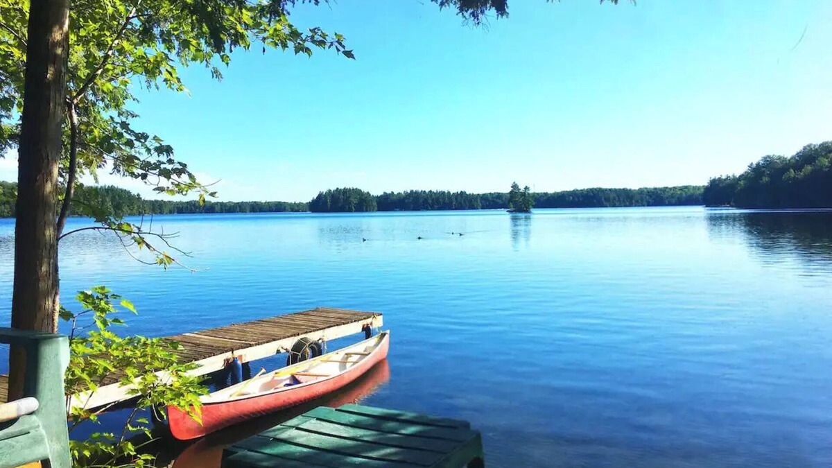 Parham Cottage | Private cedar island cottage. Amazing big lake views.