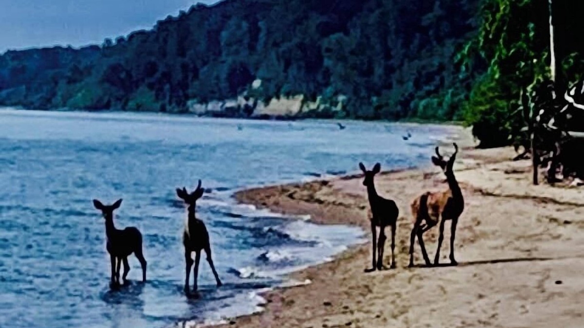 Port Republic House | Private Chesapeake Bay Beach community…love to feel the sand between your toes?