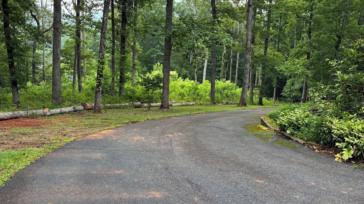 Young Harris House | Private COMFY SECLUDED MOUNTAIN HOME surrounded by trees & views of nature.