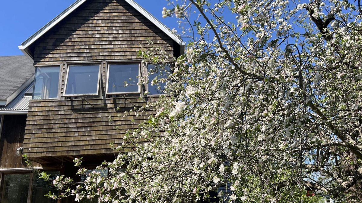 Pond Cove Cottage | Private Contemporary Artist's Tree House on two acres with perennial gardens.