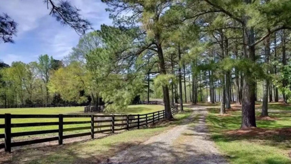 Berkeley Cottage | Private Cottage on Horse Farm in Williamsburg!