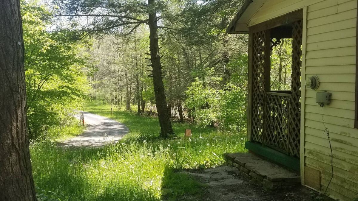 Elk Garden Cabin | Private Cottage With View of Beautiful Abrams Creek