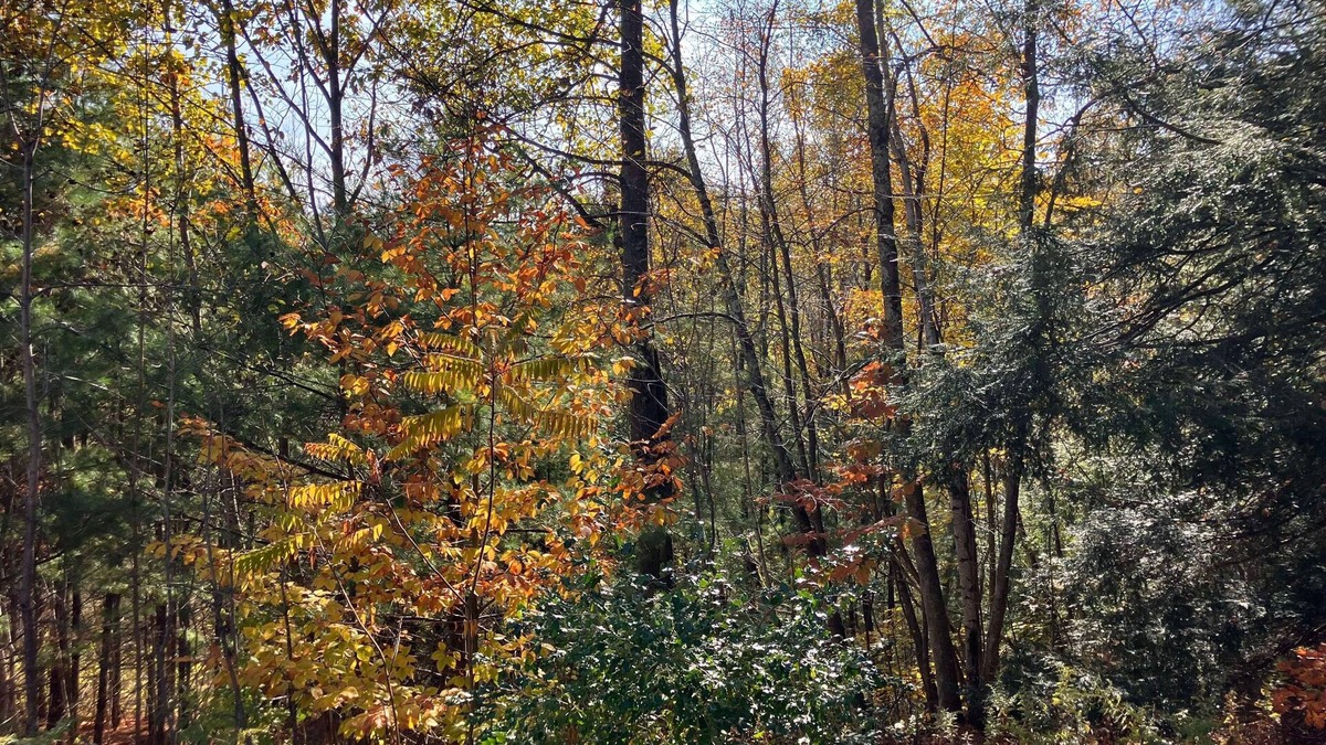 Stephentown House | Private country home minutes from the Berkshires