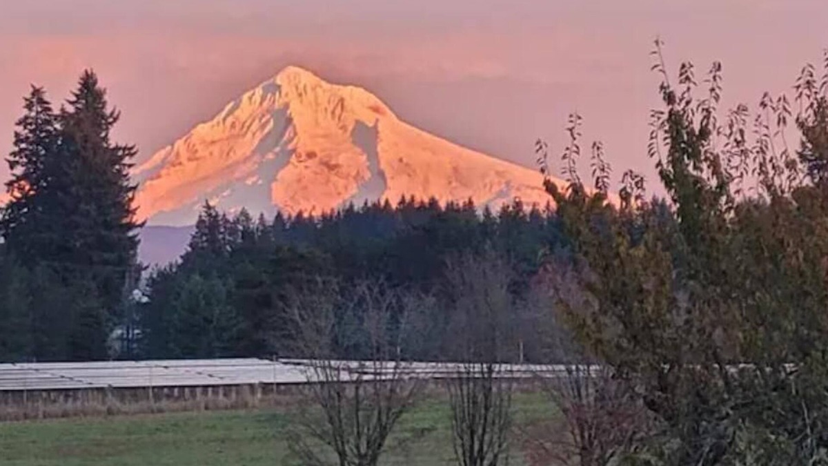 Boring House | Private country home, Mt. Hood view, hot tub, full kitchen, business class Wi-Fi
