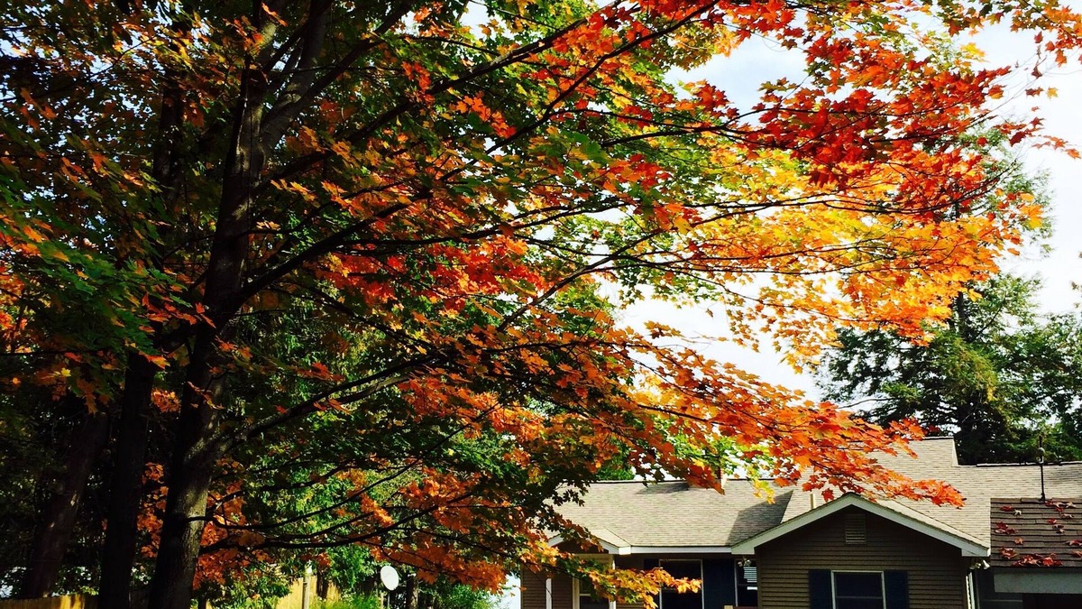 Kewadin Cottage | Private, Cozy Cottage On Torch Lake!