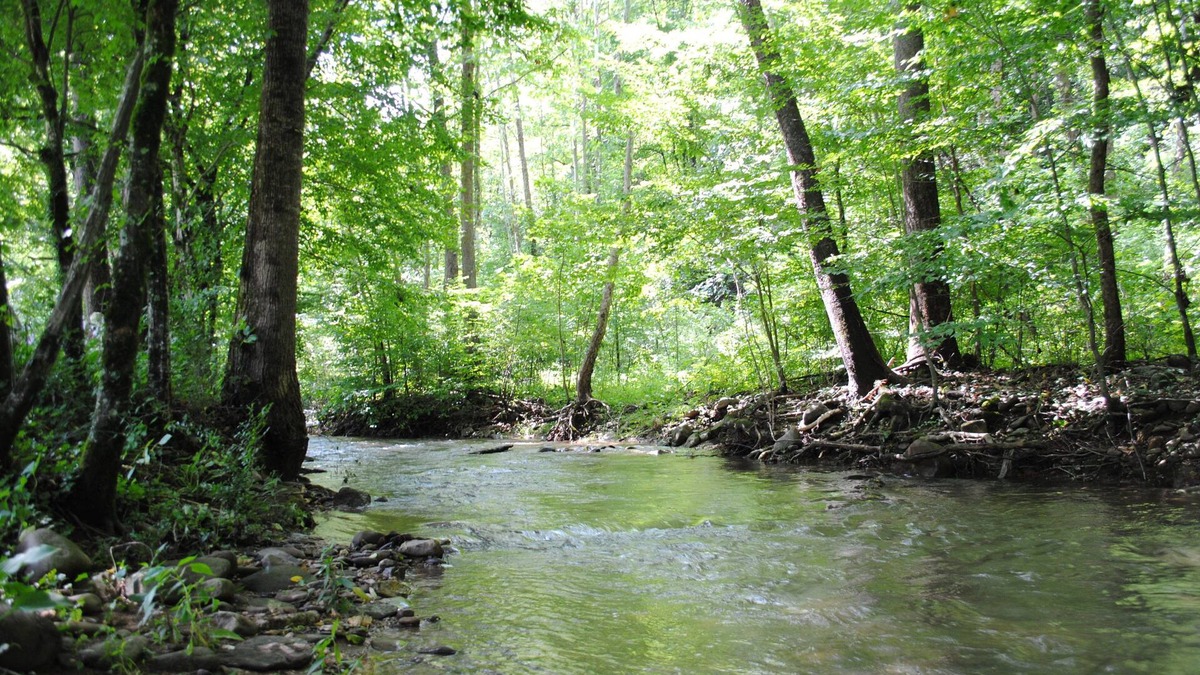 Pigeon Forge Cabin | Private, Crk side, 2 mls to PF Parkway , Lg yard, pet and motorcycle friendly.