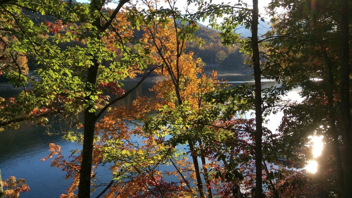 Topton Cabin | Private dock, Wifi, Lakefront, Rustic Appalachian Cabin on Nantahala Lake!