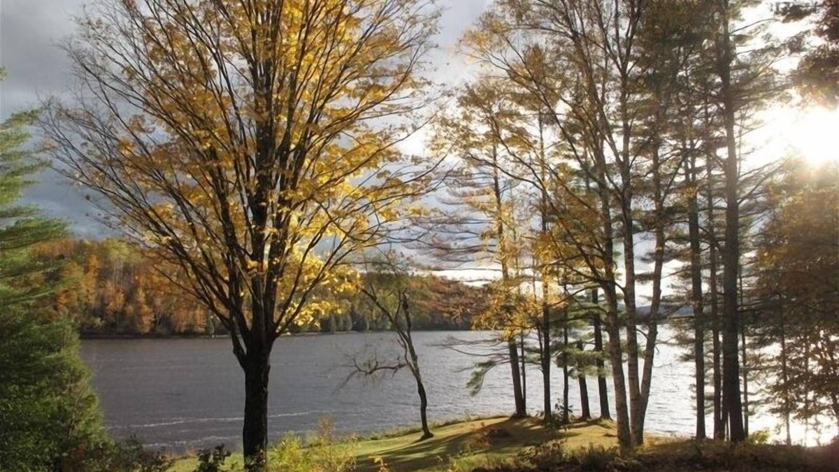 Lower Waterford Cabin | Private Elegant Waterfront Home, 4 Acres, Views! Fam Friendly!