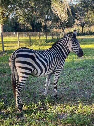 Pierson House | Private Farm with Beach Near St Johns River