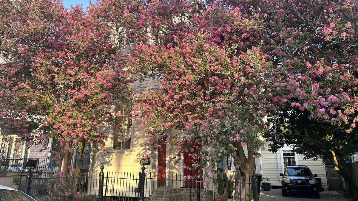 Lower Garden District House | Private Garden District Home