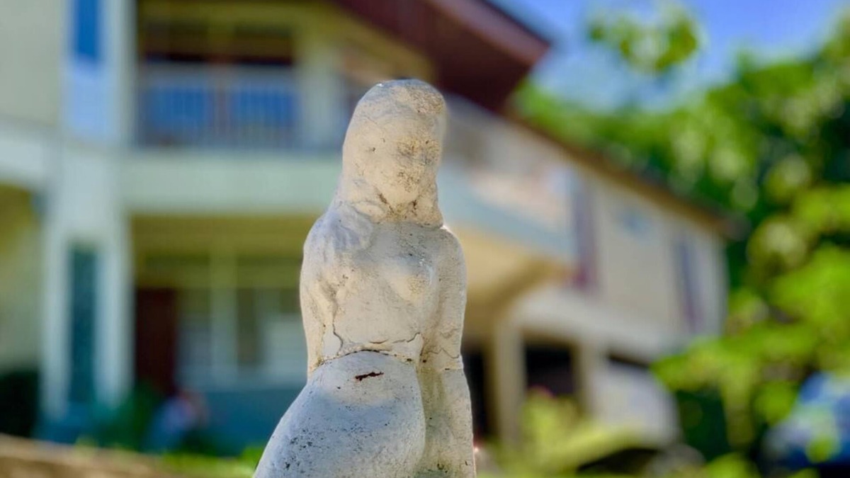 Saint Andrew Bed & Breakfast | Private Gated House in Natural Environment