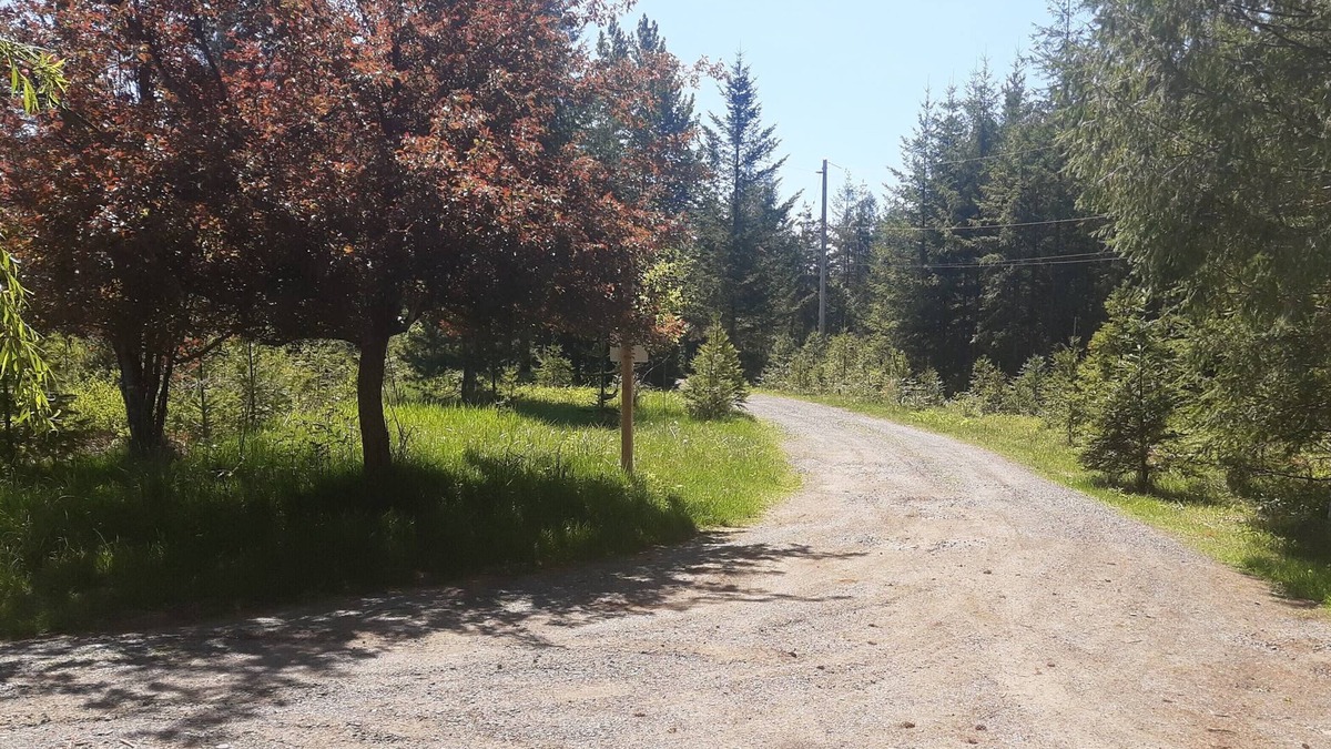 Courtenay House | Private Guesthouse on 74 Acres of Forest