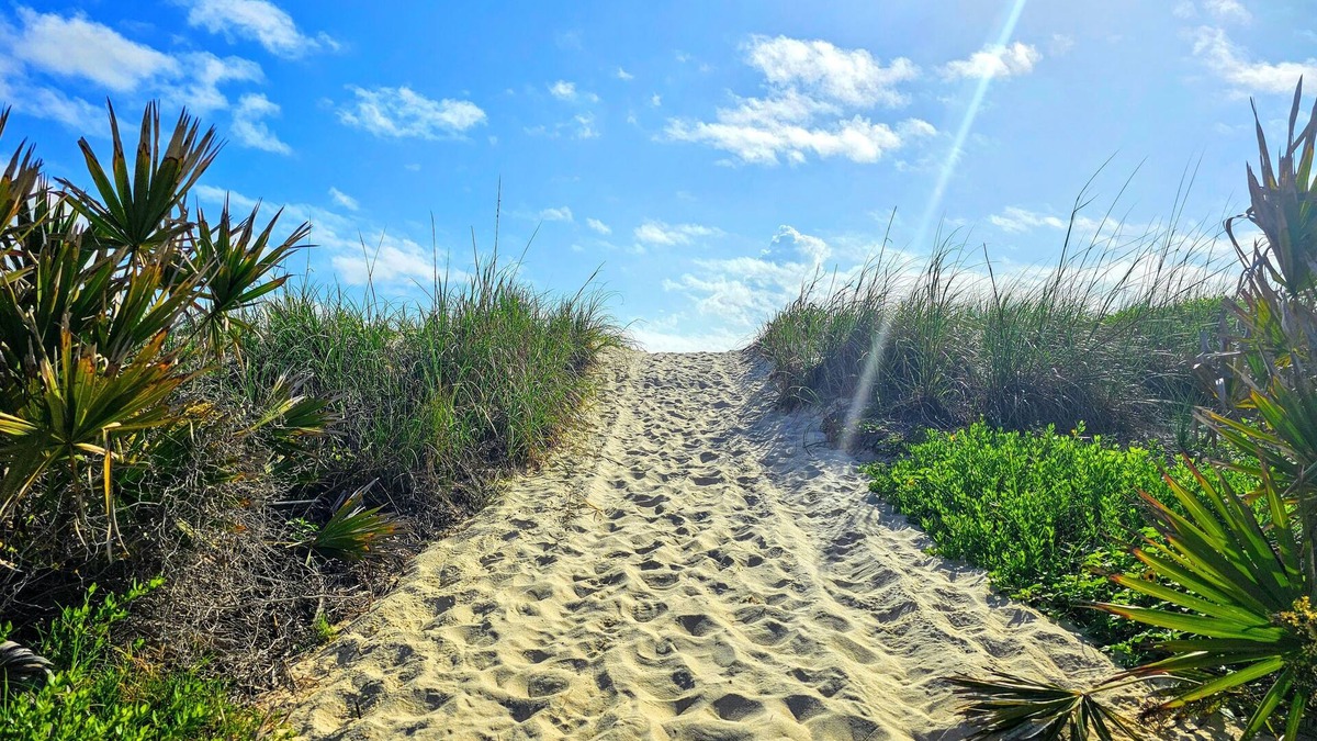 Palm Coast House | Private House Walk to the Beach & Parks! 🌴Large Decks, Family Vacation! Hammock Beach