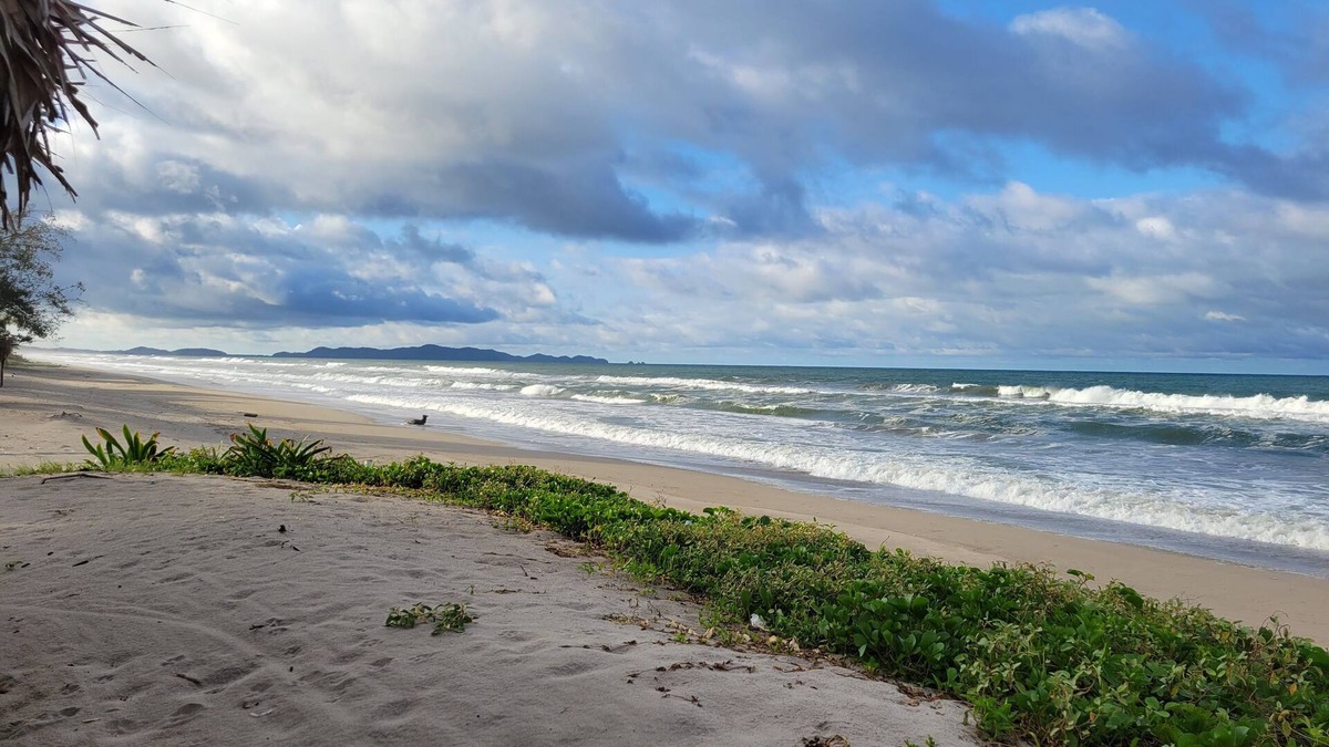 Tela House | Private House with private beach access!