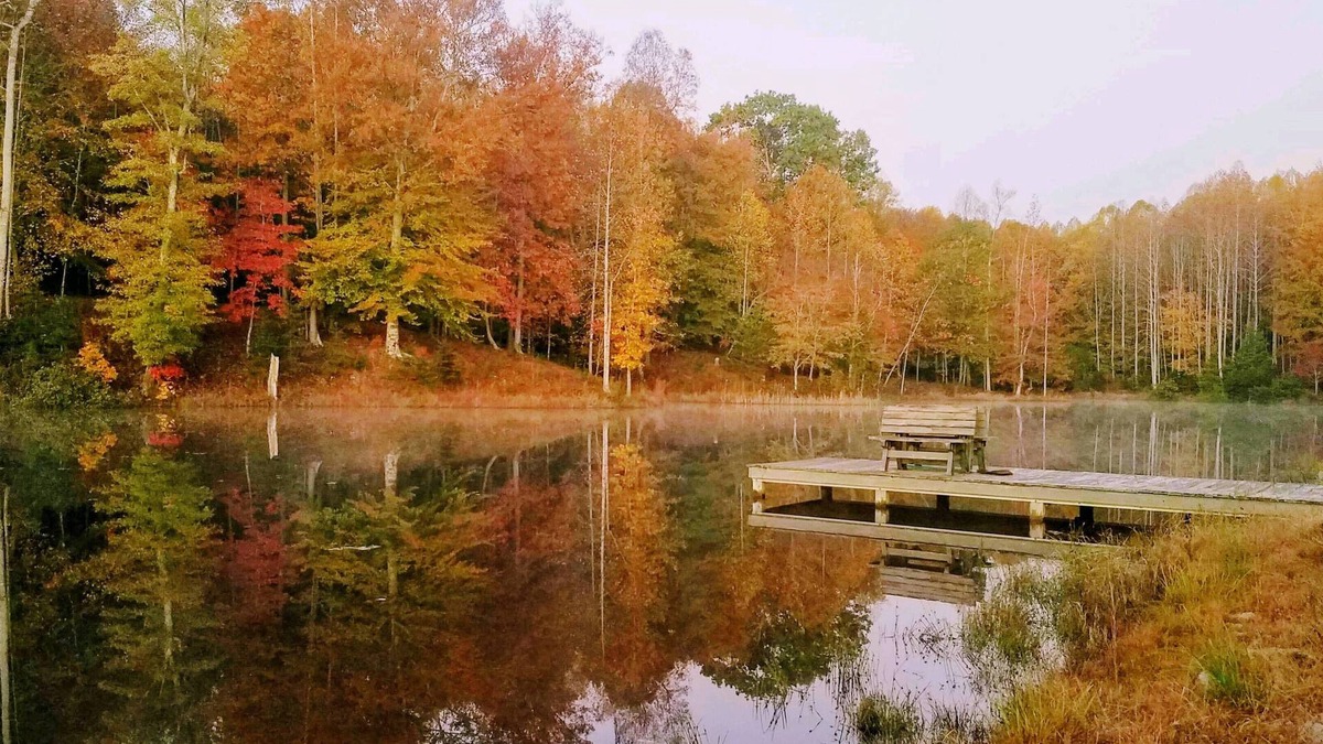 Ruffin Cabin | Private Lake/Sport Clay Range 30 Min to GSO, VIR, Martinsville 10 min Danville