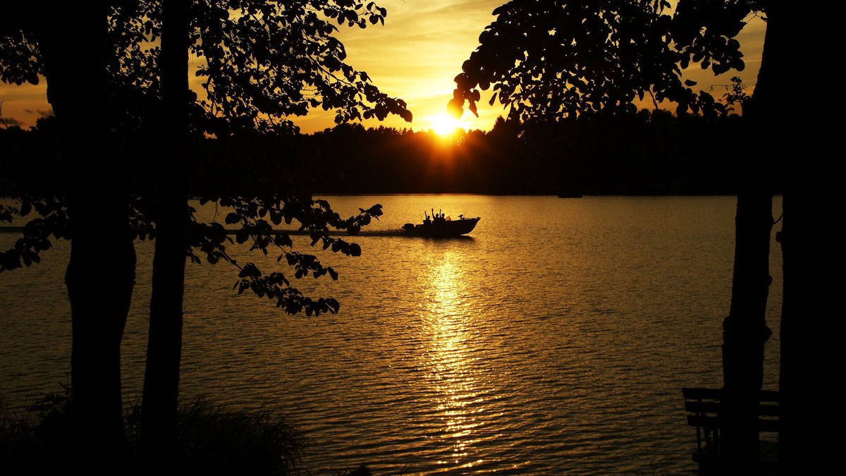 Mercer Cabin | Private Lakefront Estate on 8 Acre Peninsula