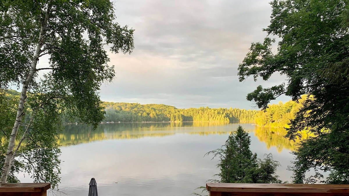 Dorset Cottage | Private, Lakefront Seclusion with Long Lake Views