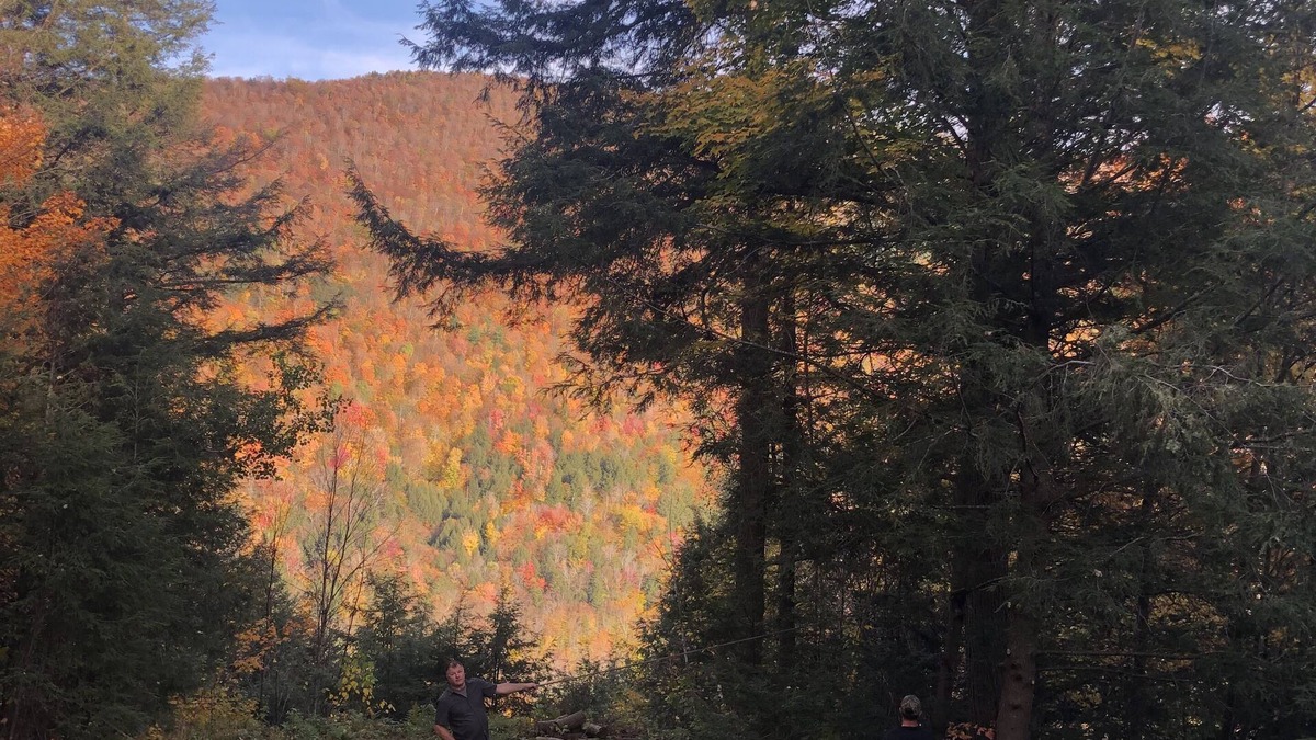 Killington House | Private Mountain View minutes to Hiking, biking, golfing, skiing, snowboarding