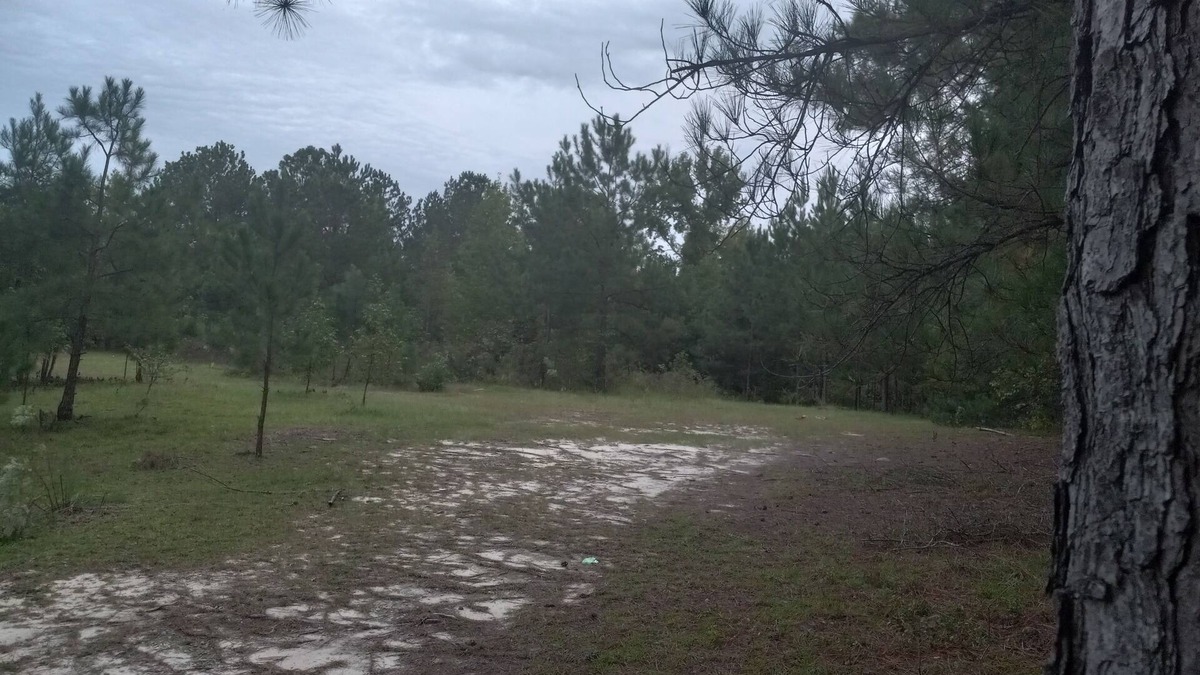 Cordova RV Rental | Private Nature Oriented Campground
