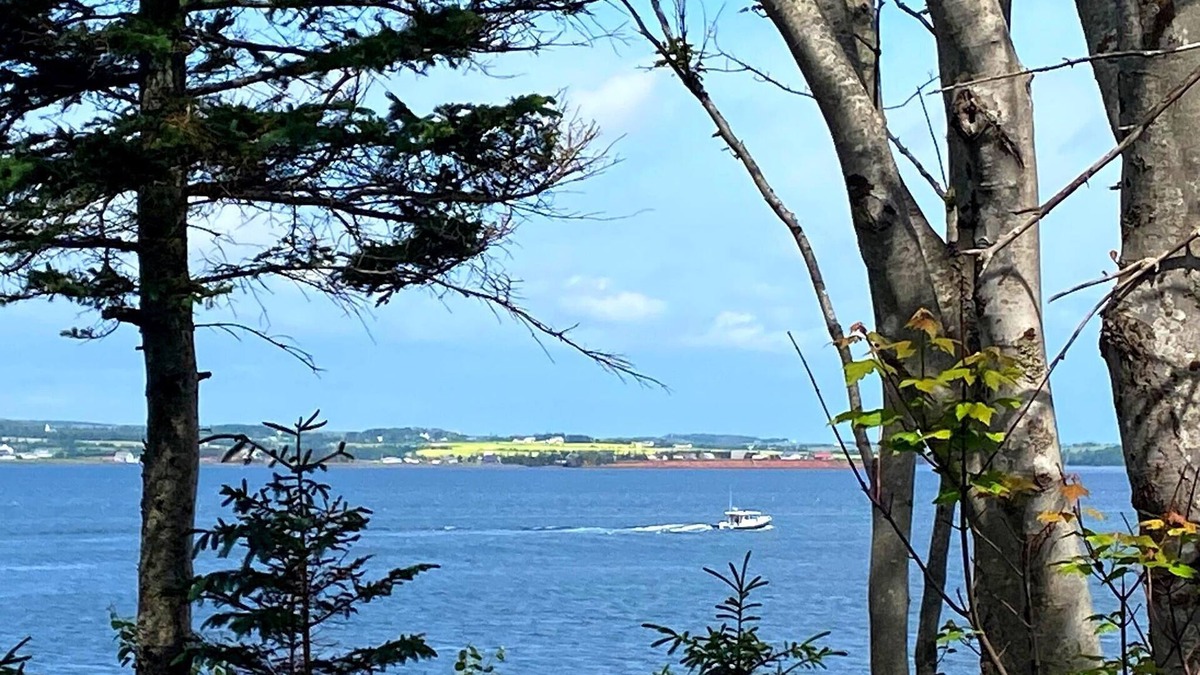 Anne's Land Cabin | Private, Ocean View Cottage, 5 Mins - Cavendish, large deck, A/C, Wifi, Sleeps 6