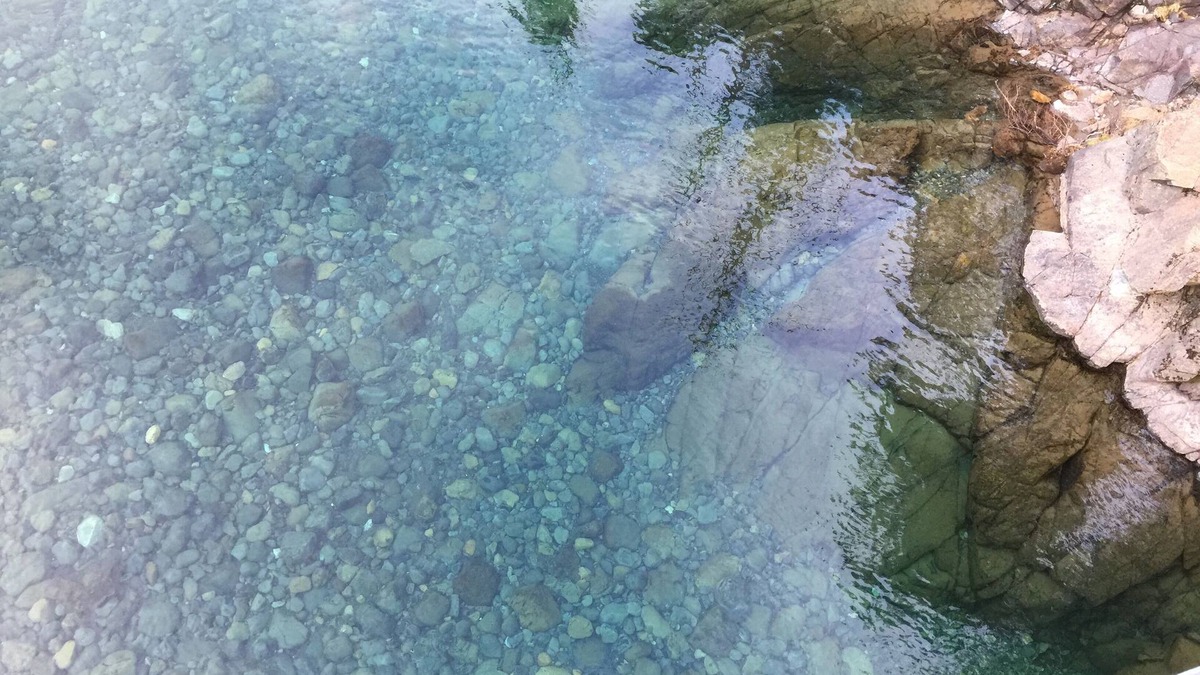 Smith River Cabin | Private Off Grid cabin on North Fork of Smith River - WiFi - Pet Friendly