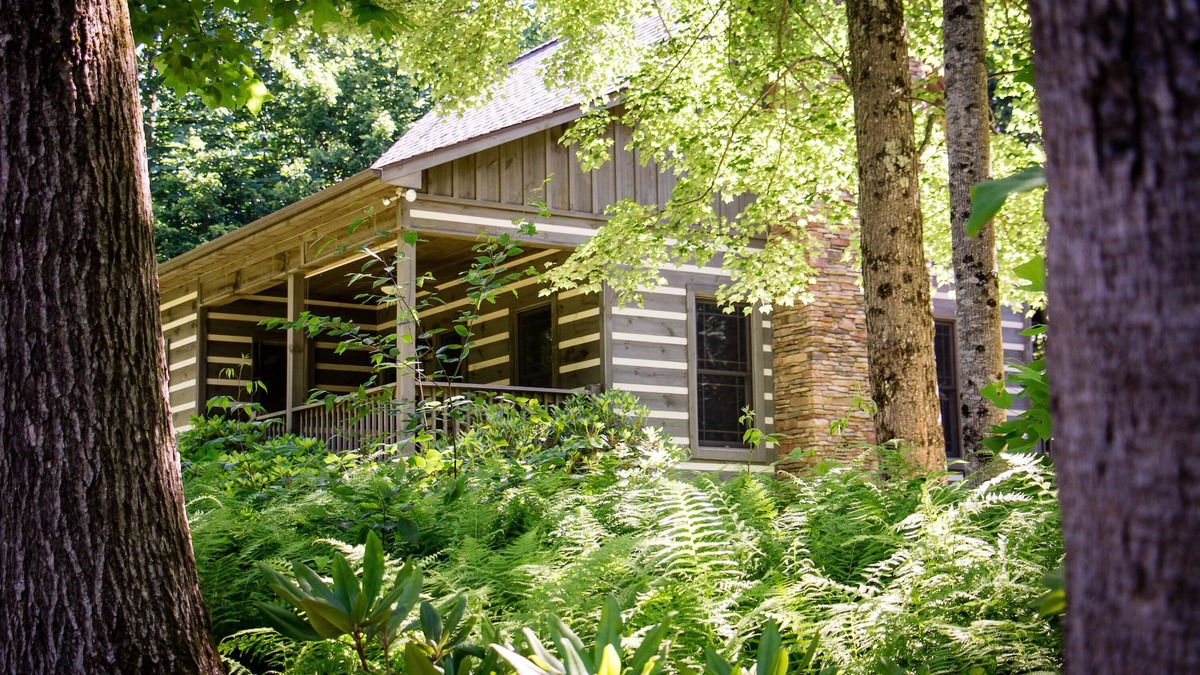 Laurel Fork Cabin | Private, On 53 Acres, Blue Ridge Parkway Access