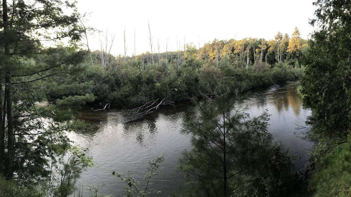 Custer Cottage | Private peaceful Copper top cabin on the world renowned Pere Marquette River!