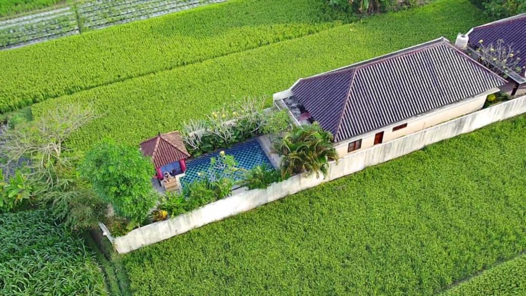 Sewon Villa | Private pool Villa Sawah Sewon