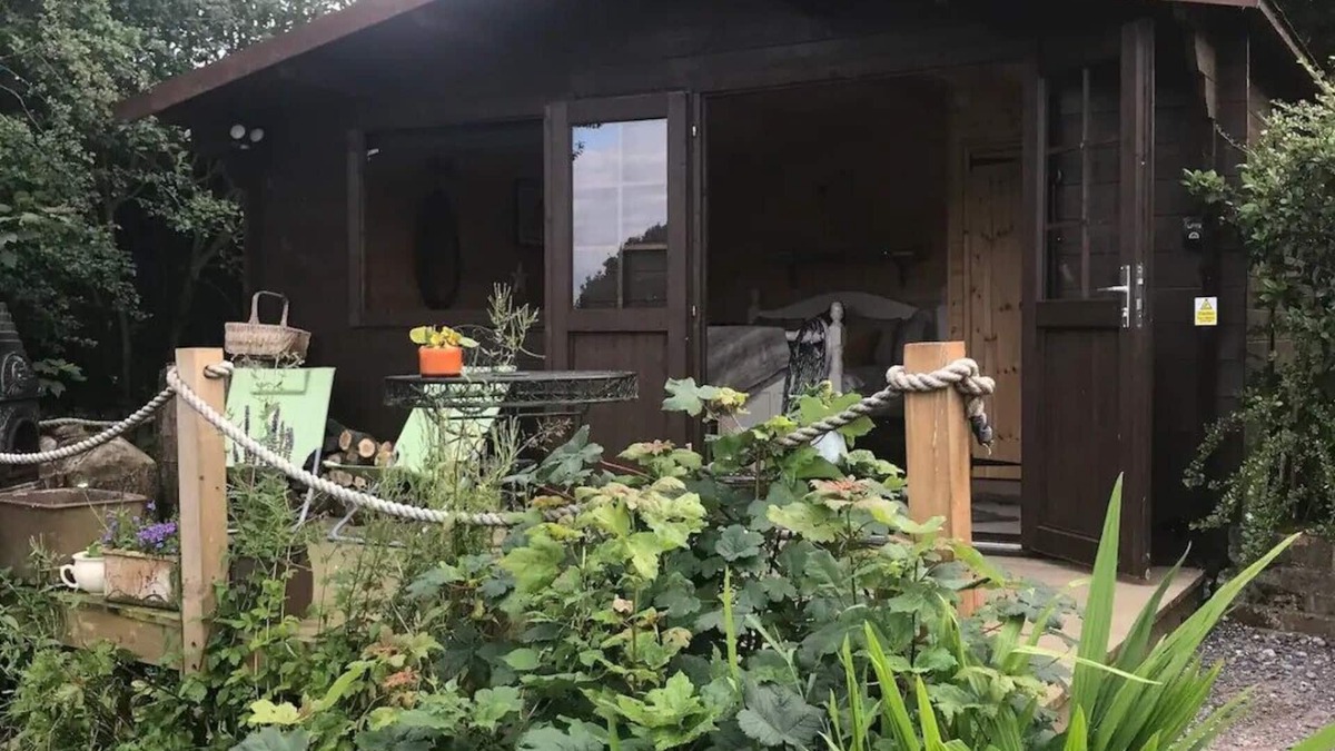 Sedlescombe Cabin | Private Quiet Cabin, overlooking Paddocks Vineyards and Pine Forest