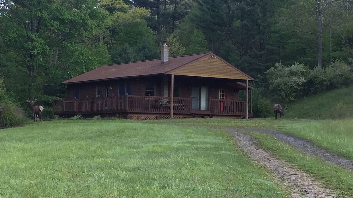 Driftwood Cabin | Private retreat in the middle of Elk country