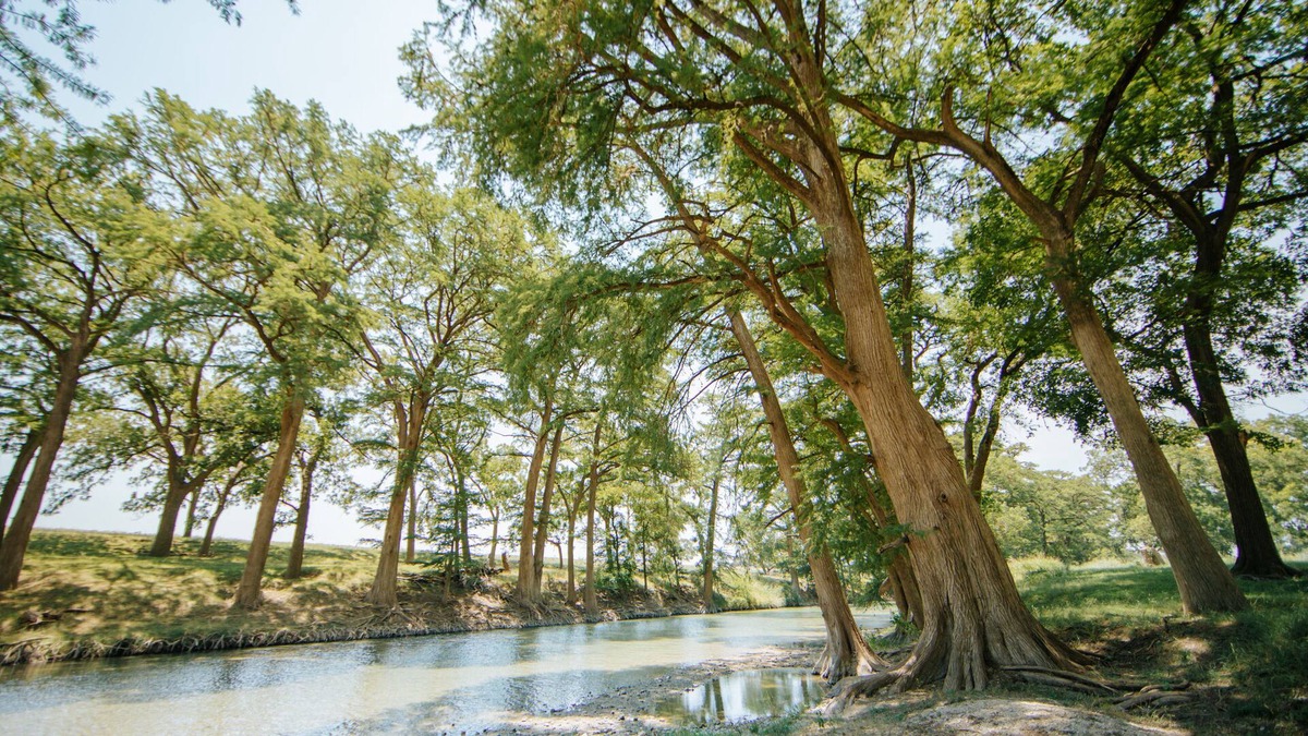 Comfort House | Private River Access on Seven Acres