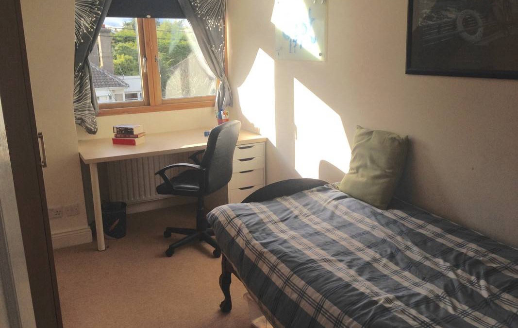Dublin Resort | Private room ∙ 1 guest