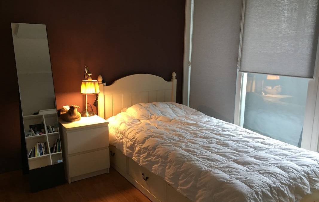 Jeongja-dong Resort | Private room ∙ 1 guest