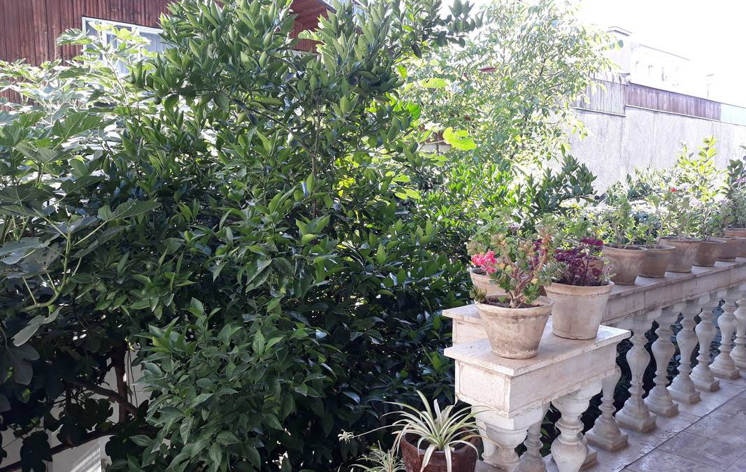 Rasht Resort | Private room ∙ 2 guests