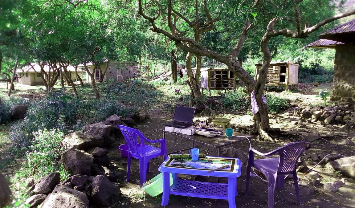 Ruma National Park Resort | Private room ∙ 2 guests