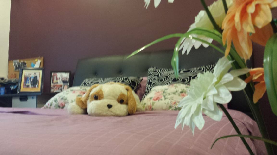 Subang Jaya Resort | Private room ∙ 2 guests
