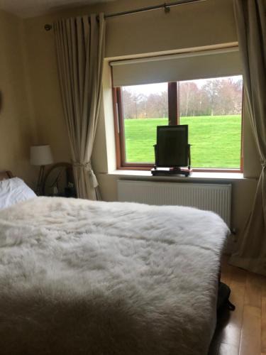Newtownmountkennedy House | Private Room in Apartment beside Druids Glen Hotel