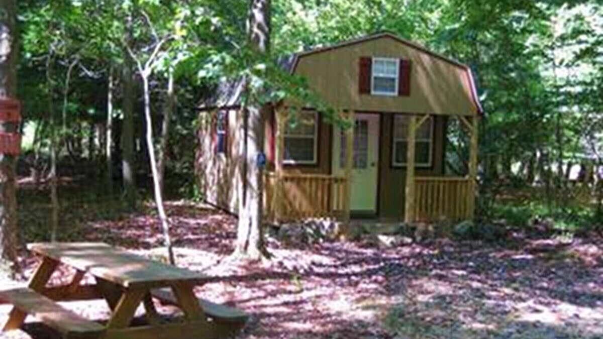 Elk Garden Cabin | Private, Rustic Cabin Situated Near Hiking, Abrams Creek and Beautiful Scenery