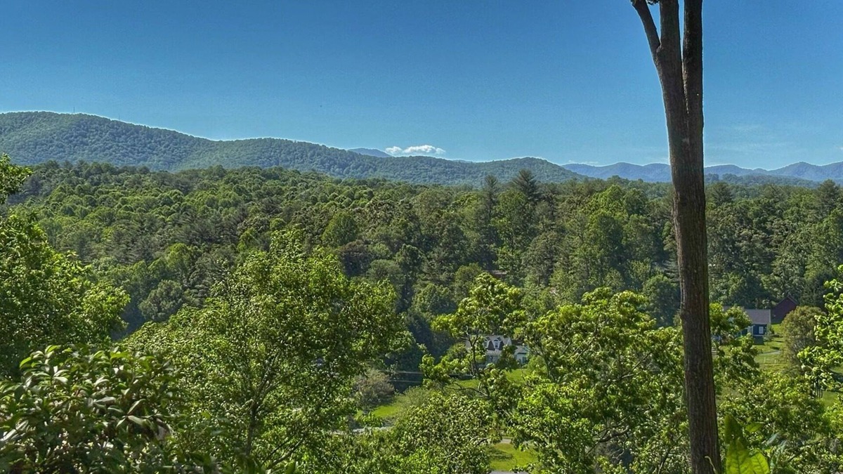 Horse Shoe Cabin | Private Setting w/Blue Ridge Mtn. Views - No Stairs - 2 King Beds - Ecusta Trail