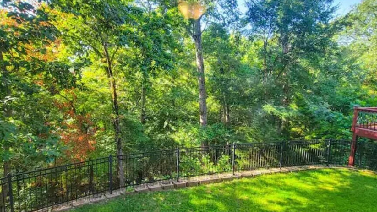 Bentonville House | Private space in Bentonville with a forest view!