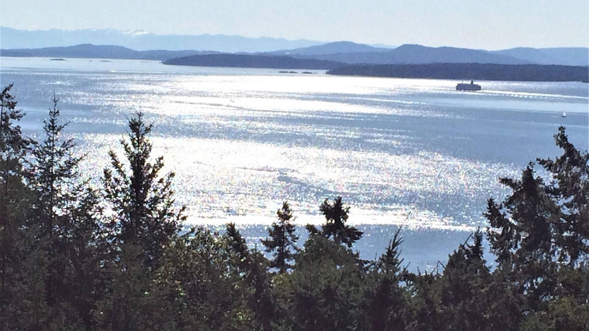 Pender Island Villa | Private, spectacular ocean vistas, swimming pool, EV charger !