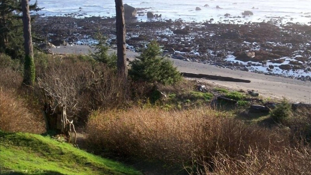 Brookings House | Private Trail to the Beach - 1 Bedroom