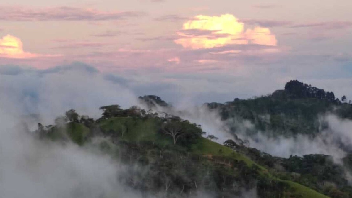 Garabito House | Private Villa Pool Sauna on 5 acre Coffee Farm in the Clouds of Costa Rica